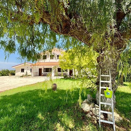 Villa Andrea San Lorenzo Noto Eksteriør bilde